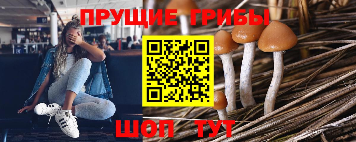 Псилоцибиновые грибы ЛСД Биробиджан