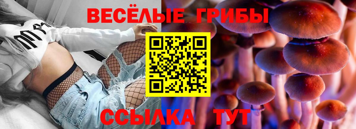 Биробиджан  Галлюциногенные грибы прущие грибы  Вход с VPN 